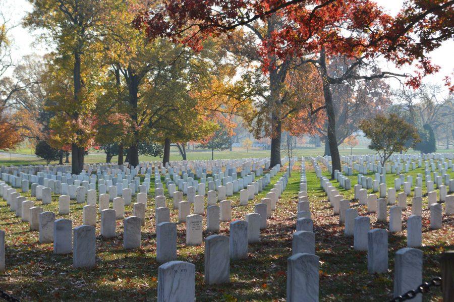The image above shows tombstones from Arlington National Cemetery. 