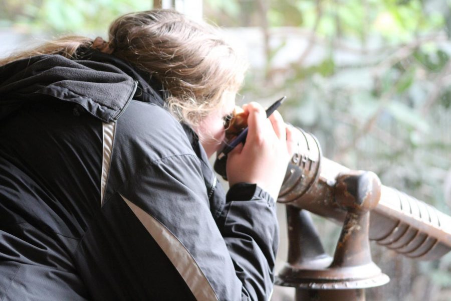 Jessica West uses binoculars to get a view of a panda at the National Zoo