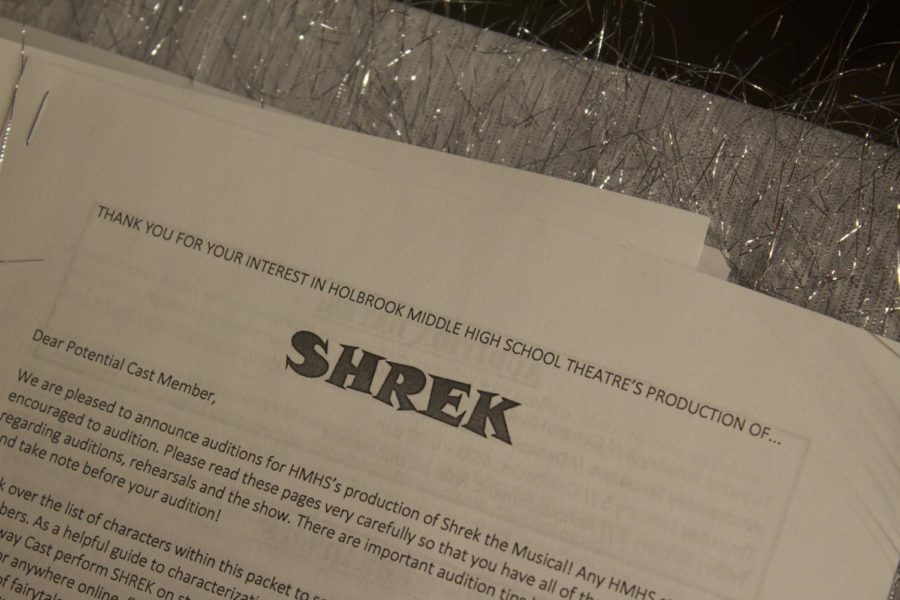 Shrek audition form